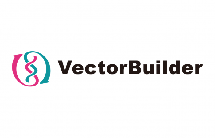 VectorBuilder